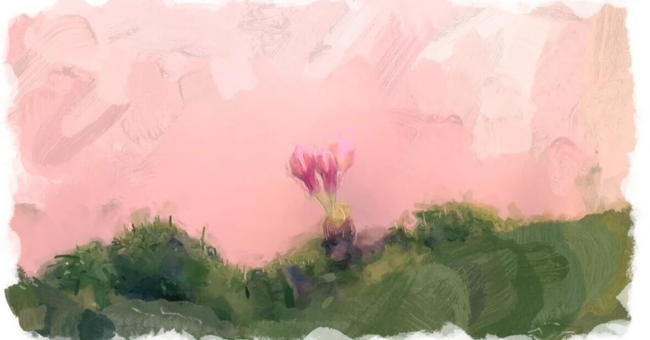 自分の手で写真を油絵に。 「Adobe PaintCan」｜ニコメ (@nikome)