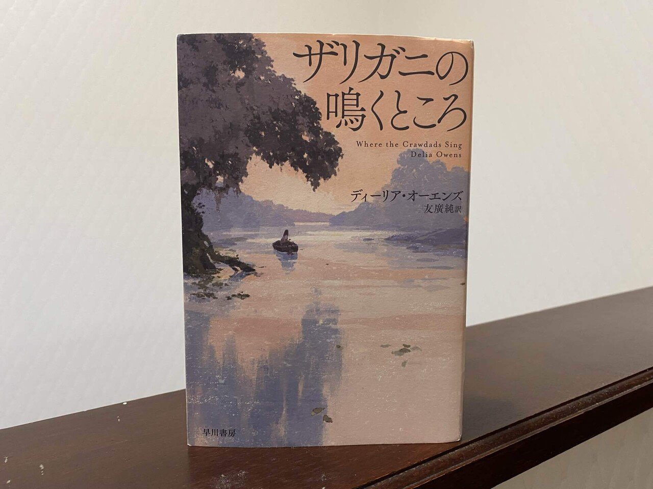 差別や偏見が救けとなる皮肉〜『ザリガニの鳴くところ』読書感想文｜石
