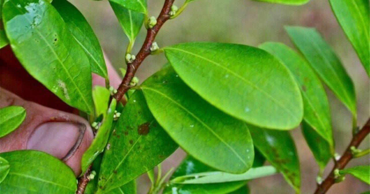 7lfnqch I7fcm 7lfnqch I7fcm