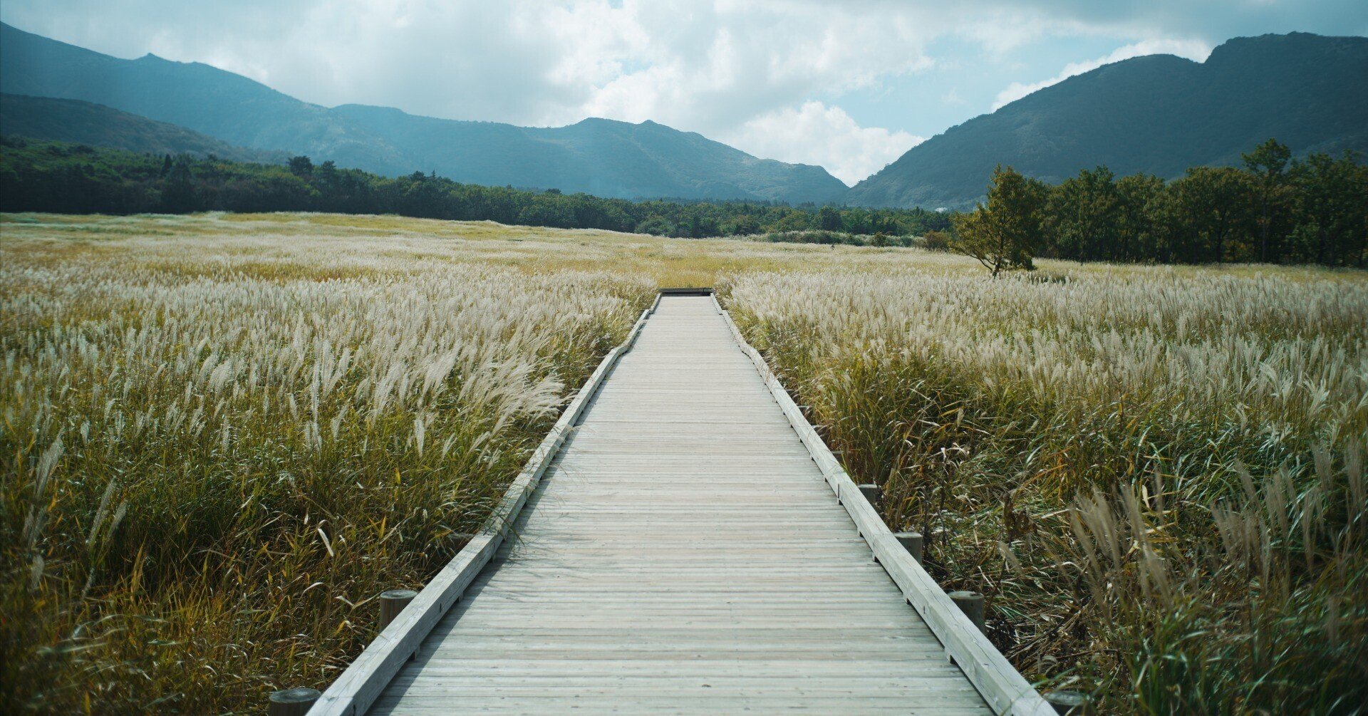 大分県写真旅 九州の山嶺に抱かれて 鉄人 Note 大分県写真旅 九州の山嶺に抱かれて 鉄人 Note