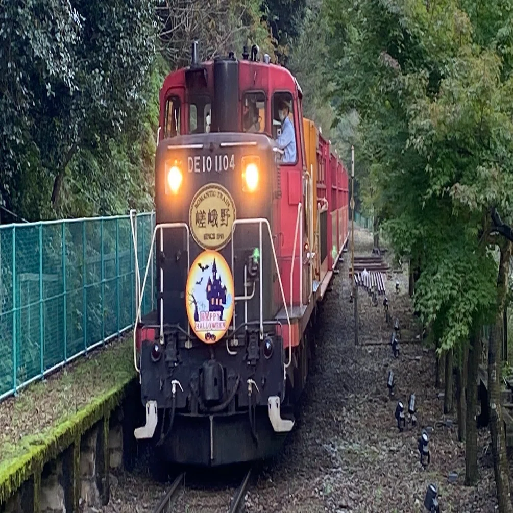 171 旅色 トロッコ列車で京都の紅葉を楽しもう 嵯峨野観光鉄道 ミヤコカエデ Miyako Kaede Note