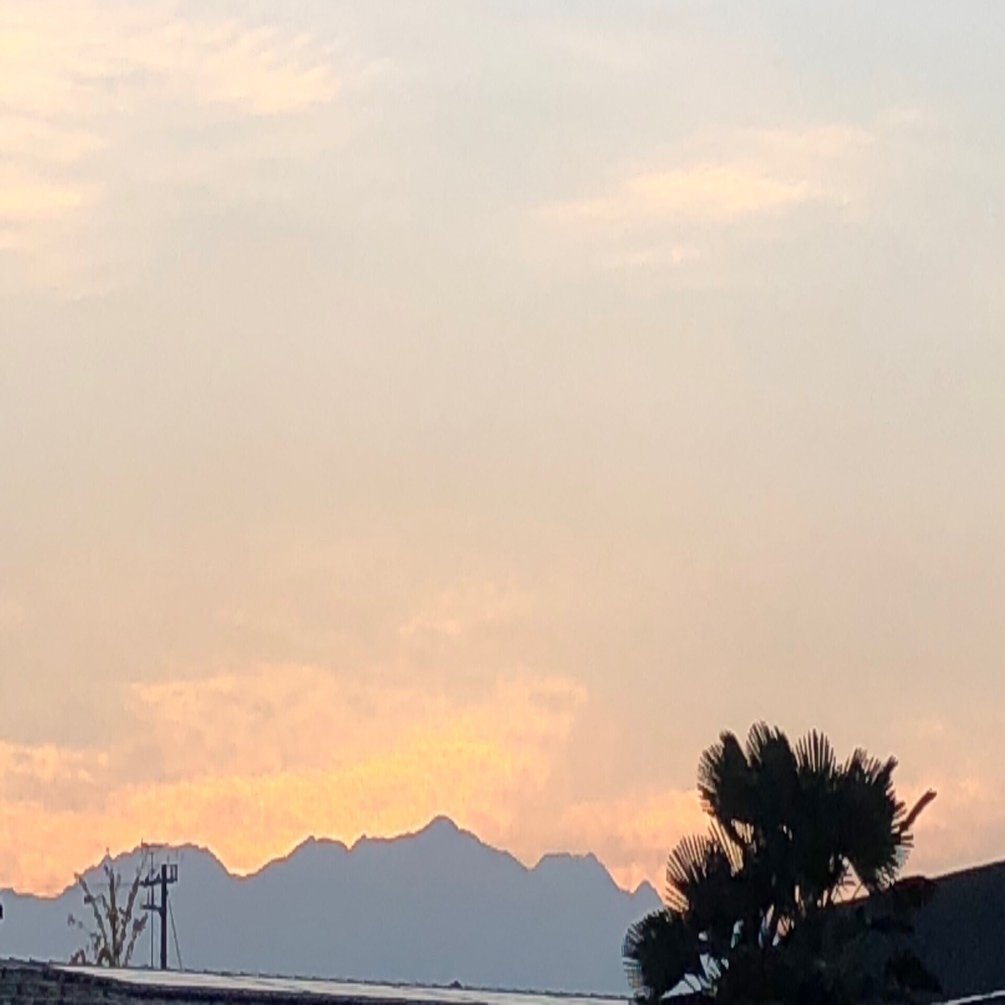 誰との約束を守るか Petmessenger Wakako Note