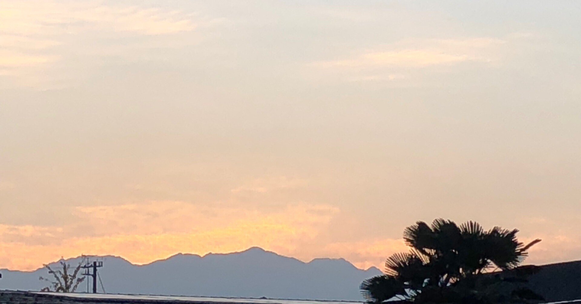 誰との約束を守るか Petmessenger Wakako Note 誰との約束を守るか Petmessenger Wakako Note