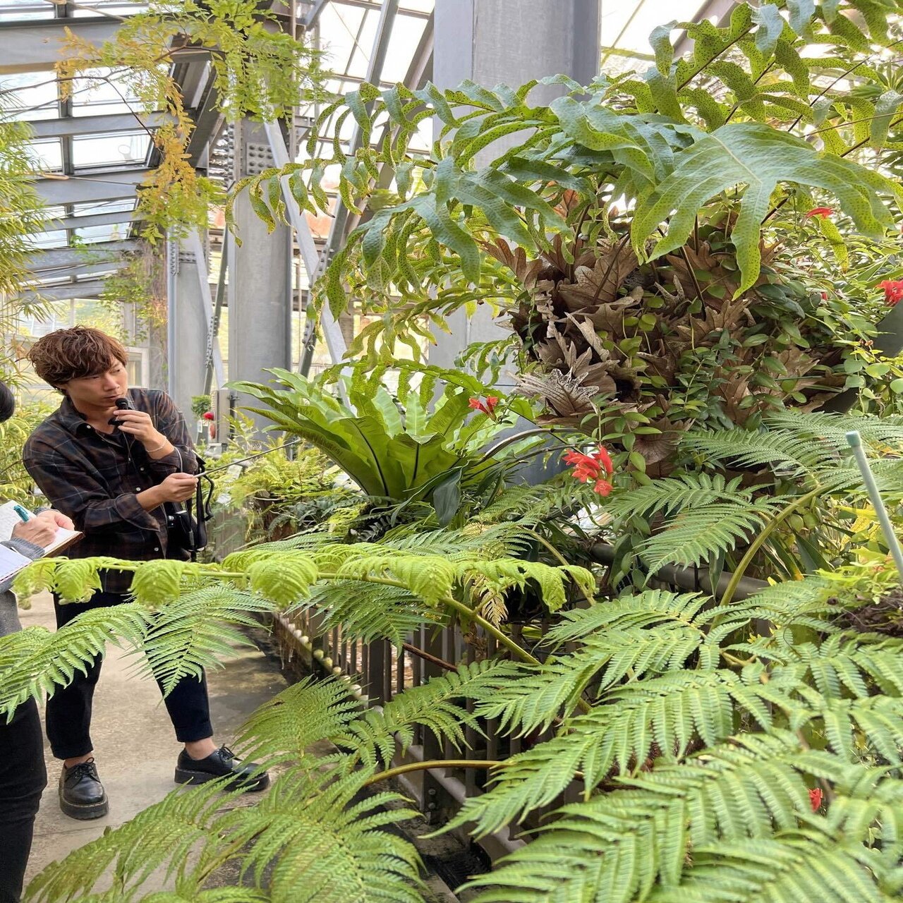 植物園観察in国立科学博物館筑波実験植物園 Marika 茉莉花 Note