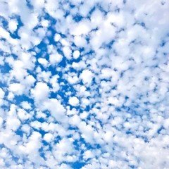 セーターをあらっているか泡の中 〜一筆大会〜