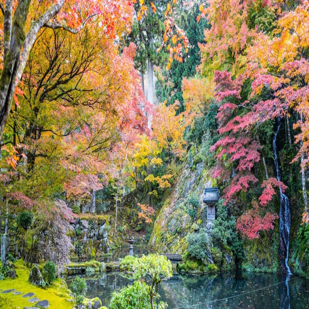 再訪、岐阜県郡上市八幡町〜紅葉編。｜風街観光社（Shozo Nishioka）