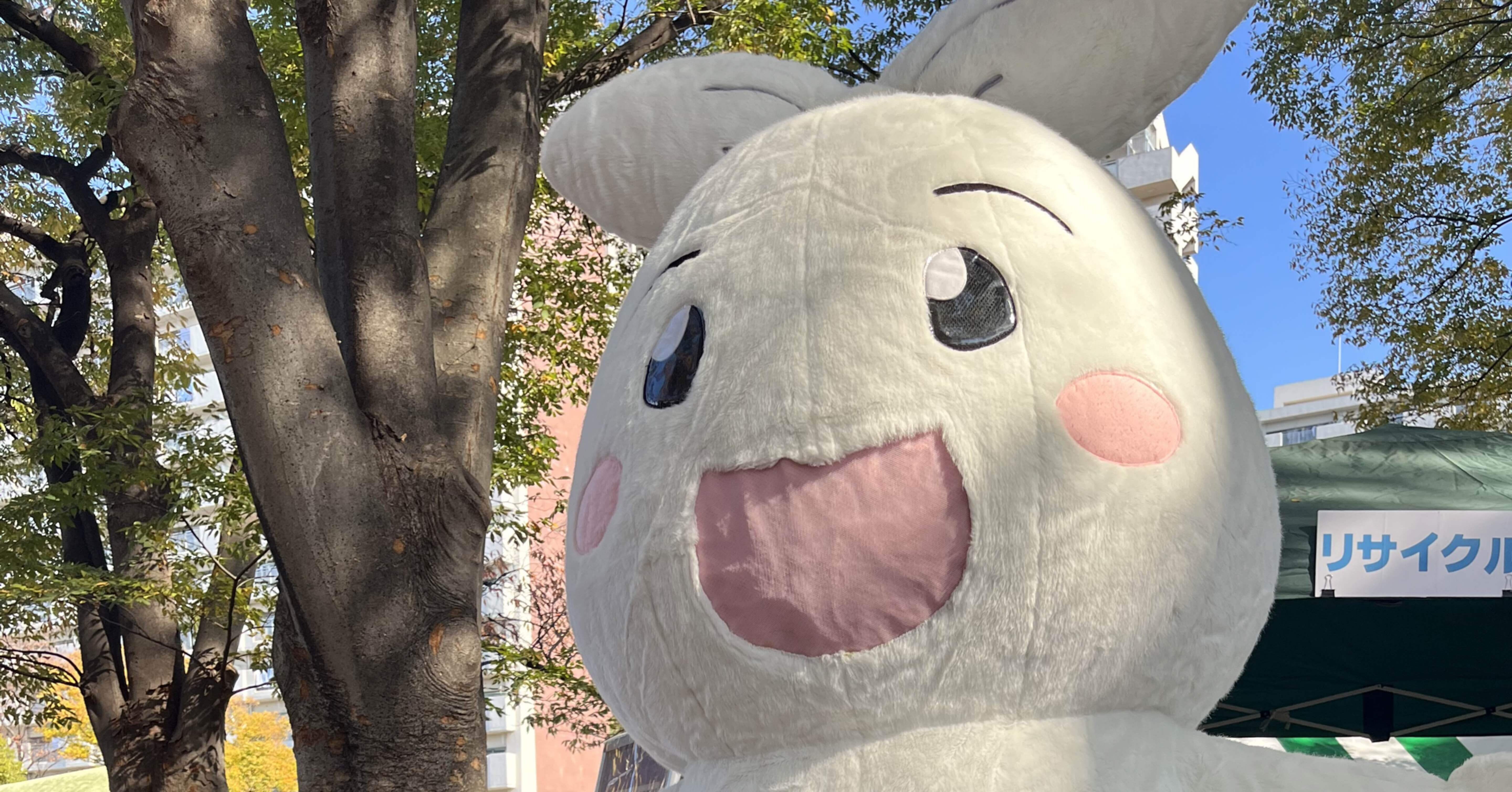 2022/11/19晴れ。かつしかフードフェスタin新小岩｜ミズカミ