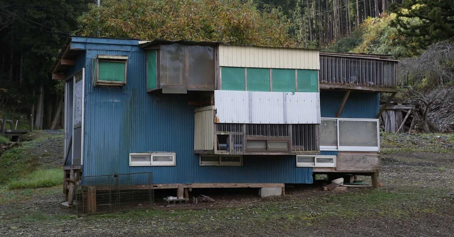 鳩舎 レース鳩のための小屋｜遠藤 宏 / Photographer