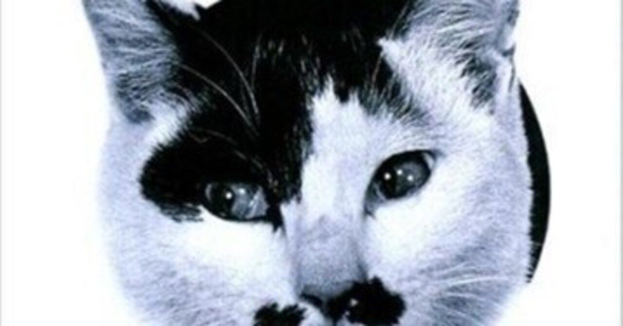 サザンオールスターズ「Tiny Bubbles」(1980)｜音楽の杜