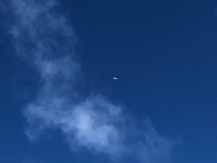 飛行機が何度も空を泳ぐように通り過ぎました。

田舎に帰ると空の青さに癒されます。