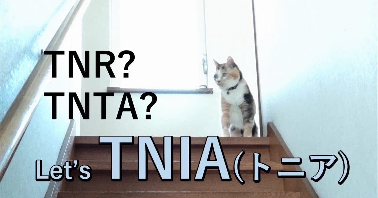 TNR→TNTA→TNIA｜やまがた不妊去勢クリニック