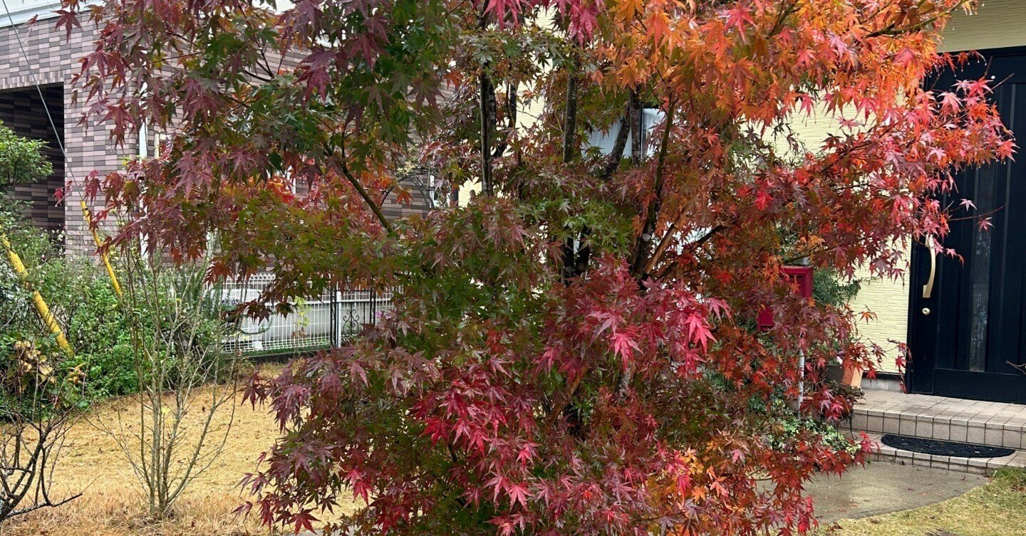 紅葉の思い出 松本直子 Naoko Matsumoto Ueno Note 紅葉の思い出 松本直子 Naoko Matsumoto Ueno Note