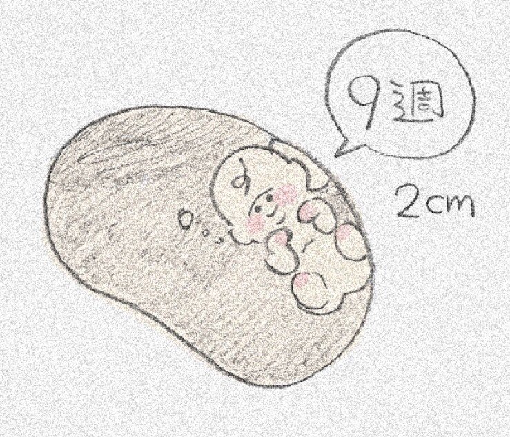 妊娠９週目 食べつわり 眠りづわり 育児漫画家 善哉あん Note