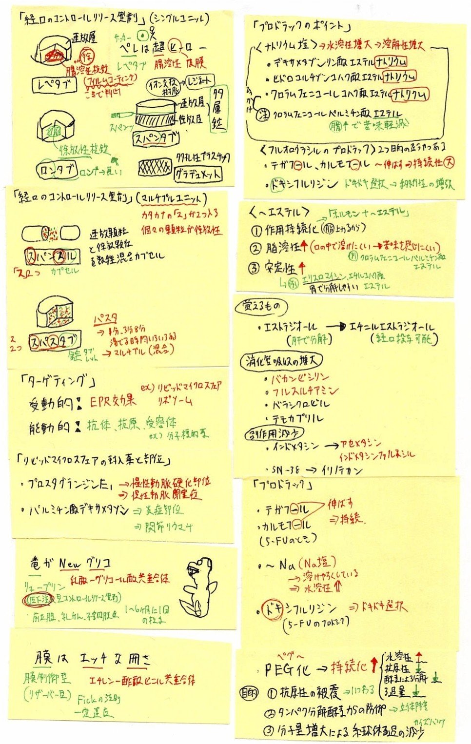 薬剤師国家試験　まとめノート　語呂ノート　価格交渉可 薬剤師国家試験(新カリ対応) 付箋ノート 付箋まとめ 薬学 ゴロ集 ゴロ