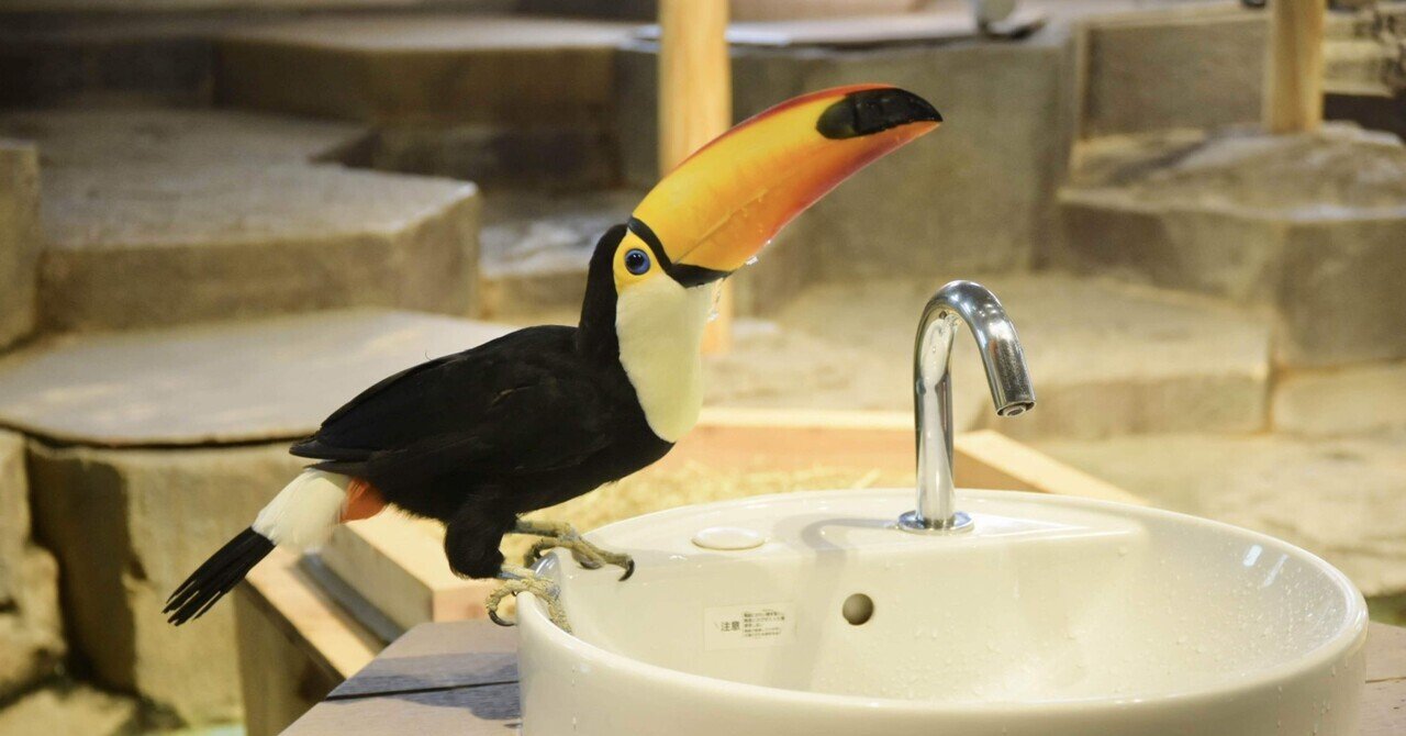 クーポンを使ってニフレルに行ってきた あやめし Note クーポンを使ってニフレルに行ってきた あやめし Note