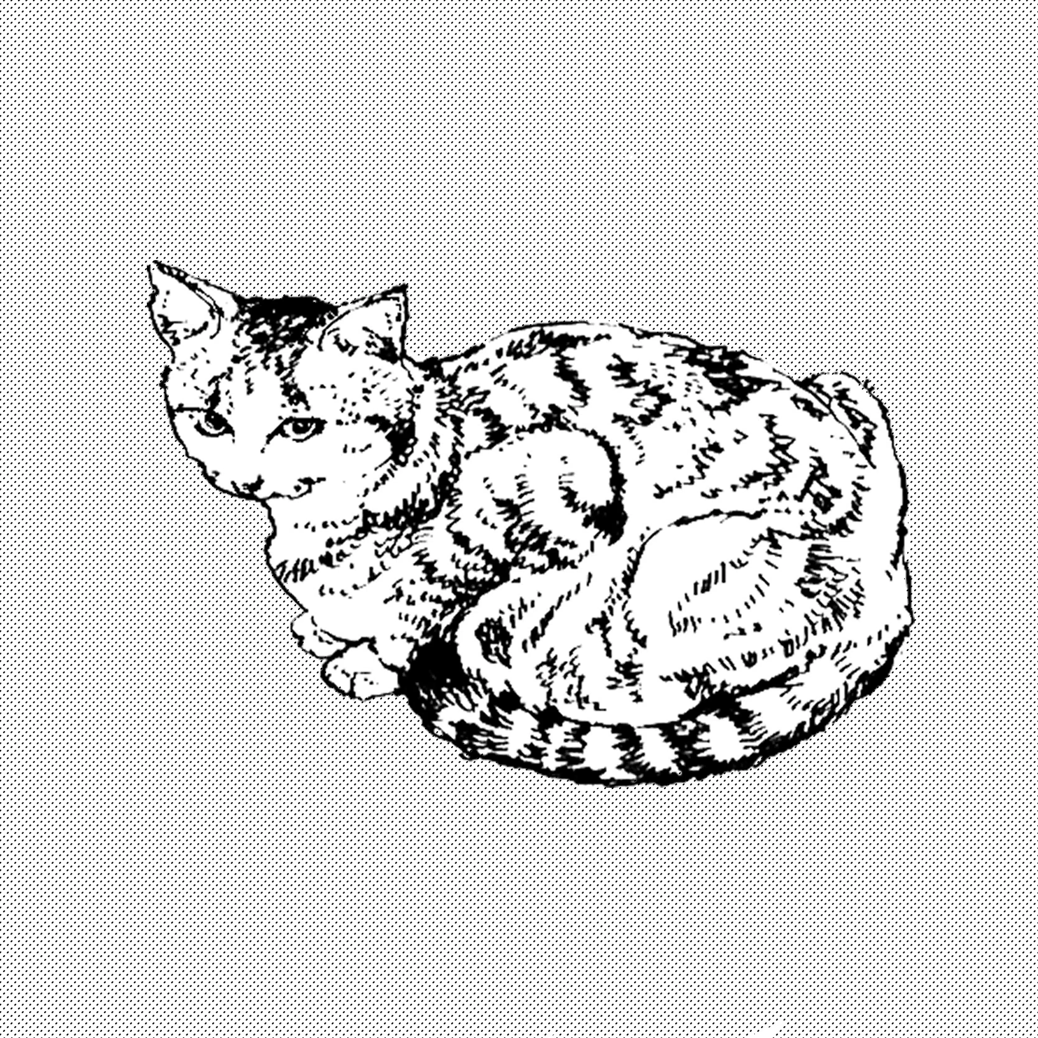 あそういちか | illustration