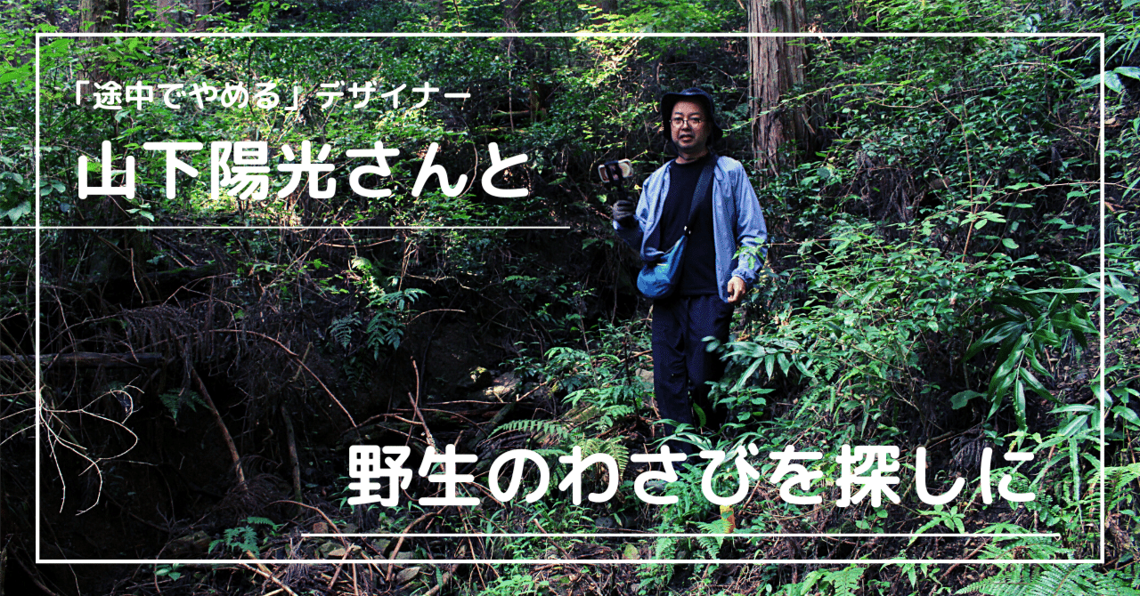 途中でやめる」デザイナーの山下陽光さんと、檜原村に野生のわさびを