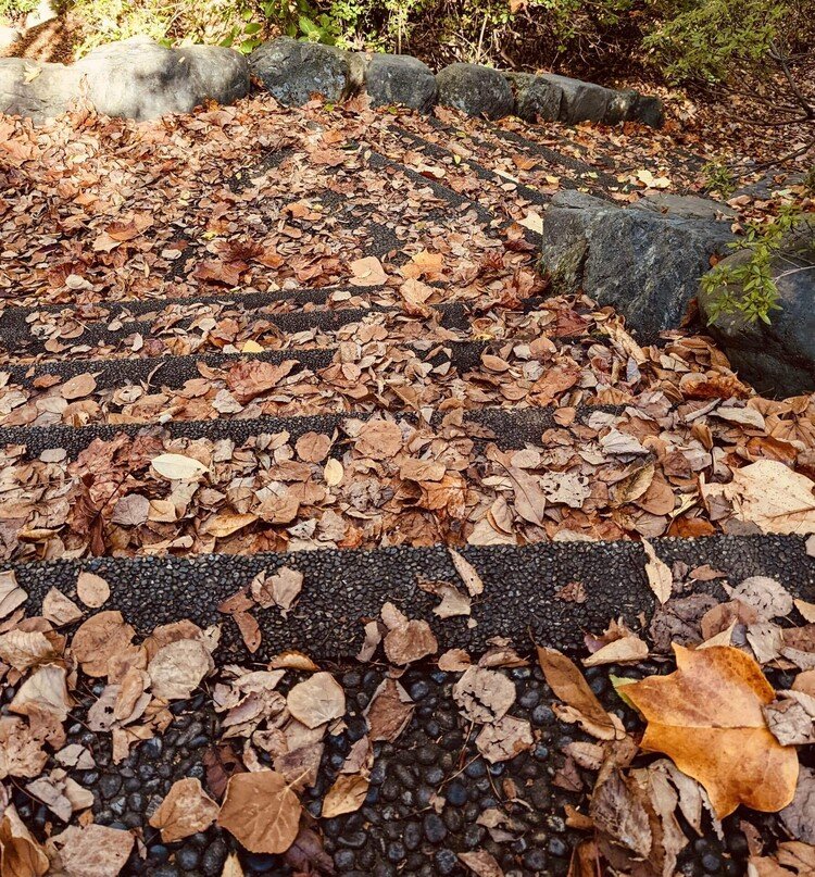 金沢市の卯辰山公園で撮影しました。秋の階段、スベらないように注意して降りましょう！#みんなでつくる秋アルバム