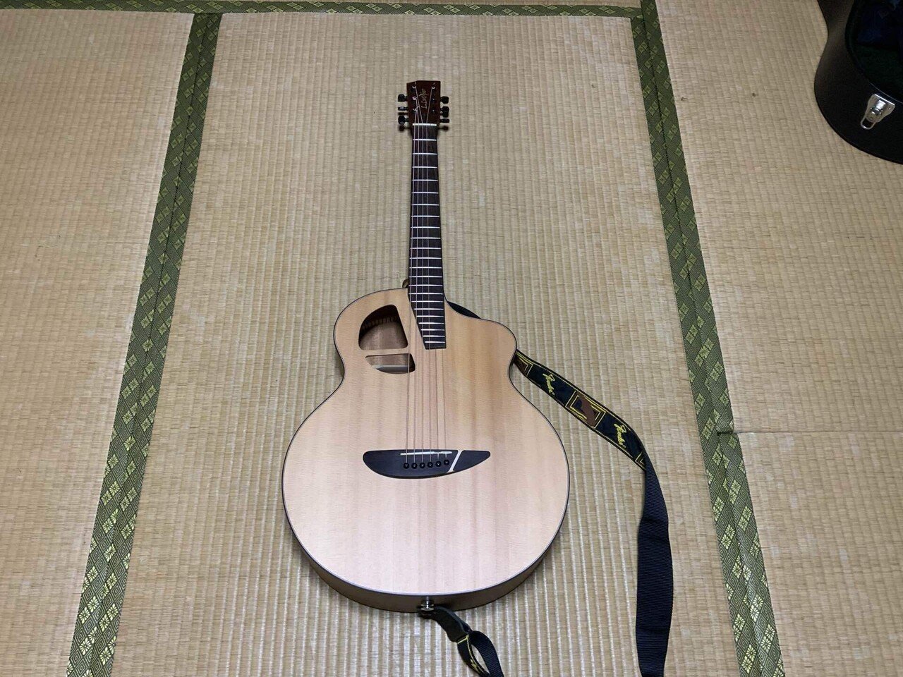 エピフォン エピ アコースティックギター Epi A-10 EF-220