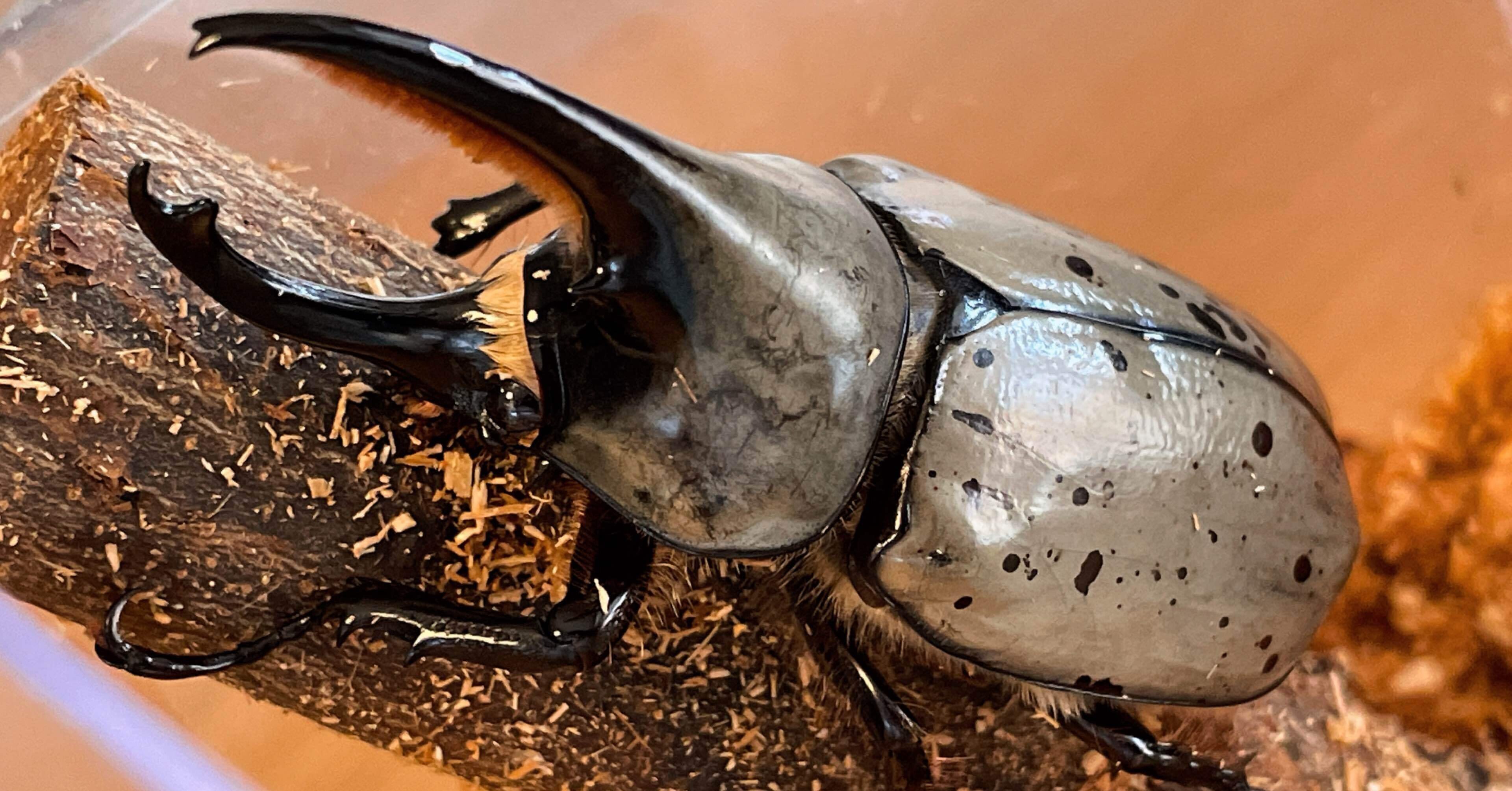 99c0d7ba8800fe3f844cfc1b21a2f1