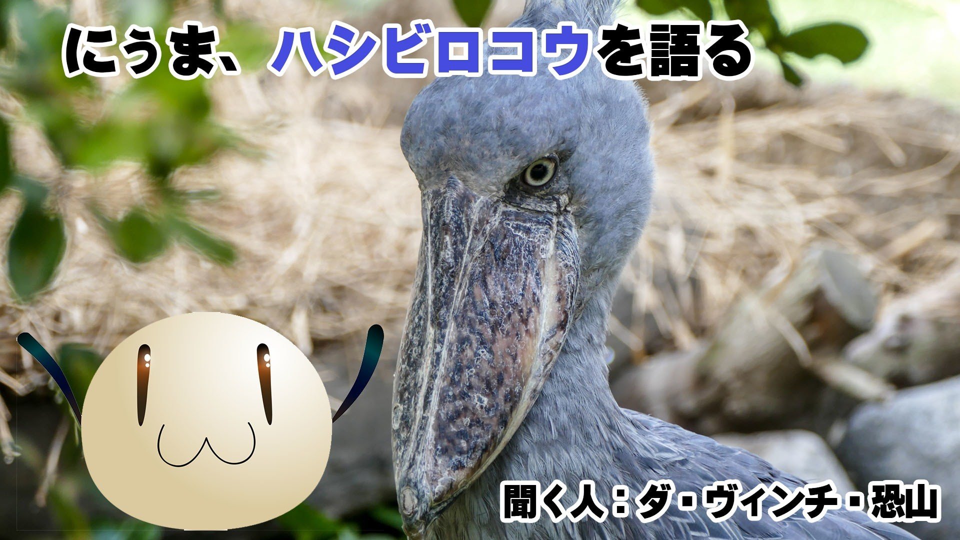 ハシビロコウ の新着タグ記事一覧 Note つくる つながる とどける