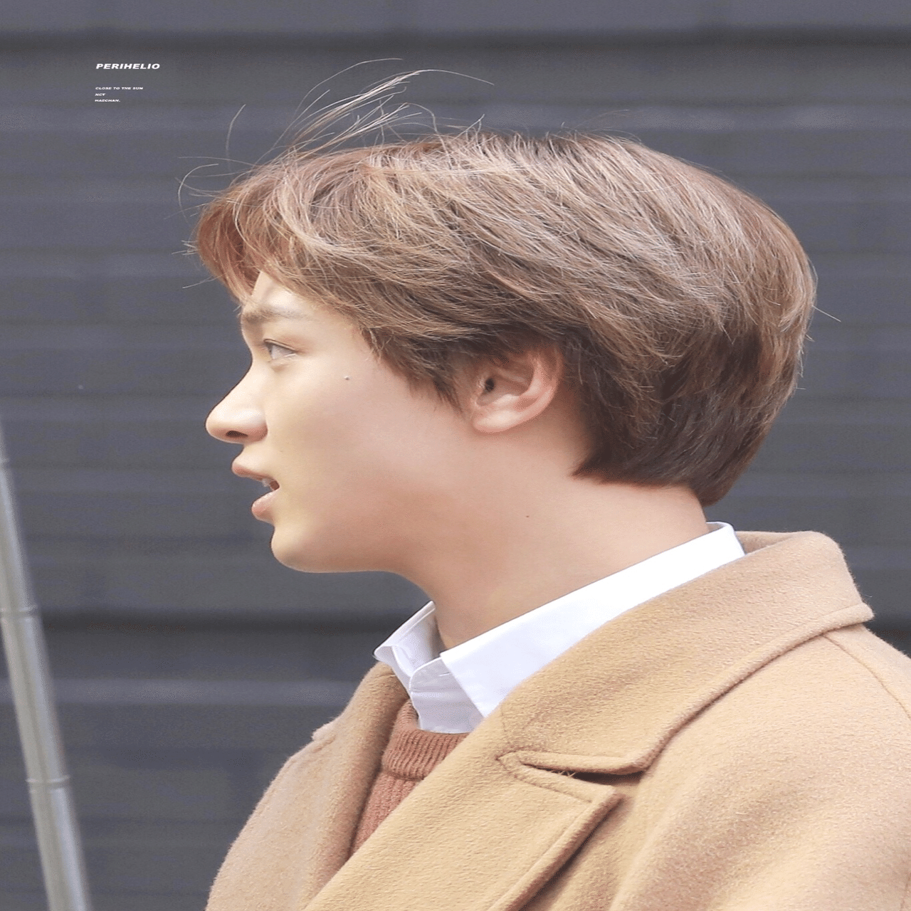 30日推しチャレンジ NCT ヘチャン編｜かゆ