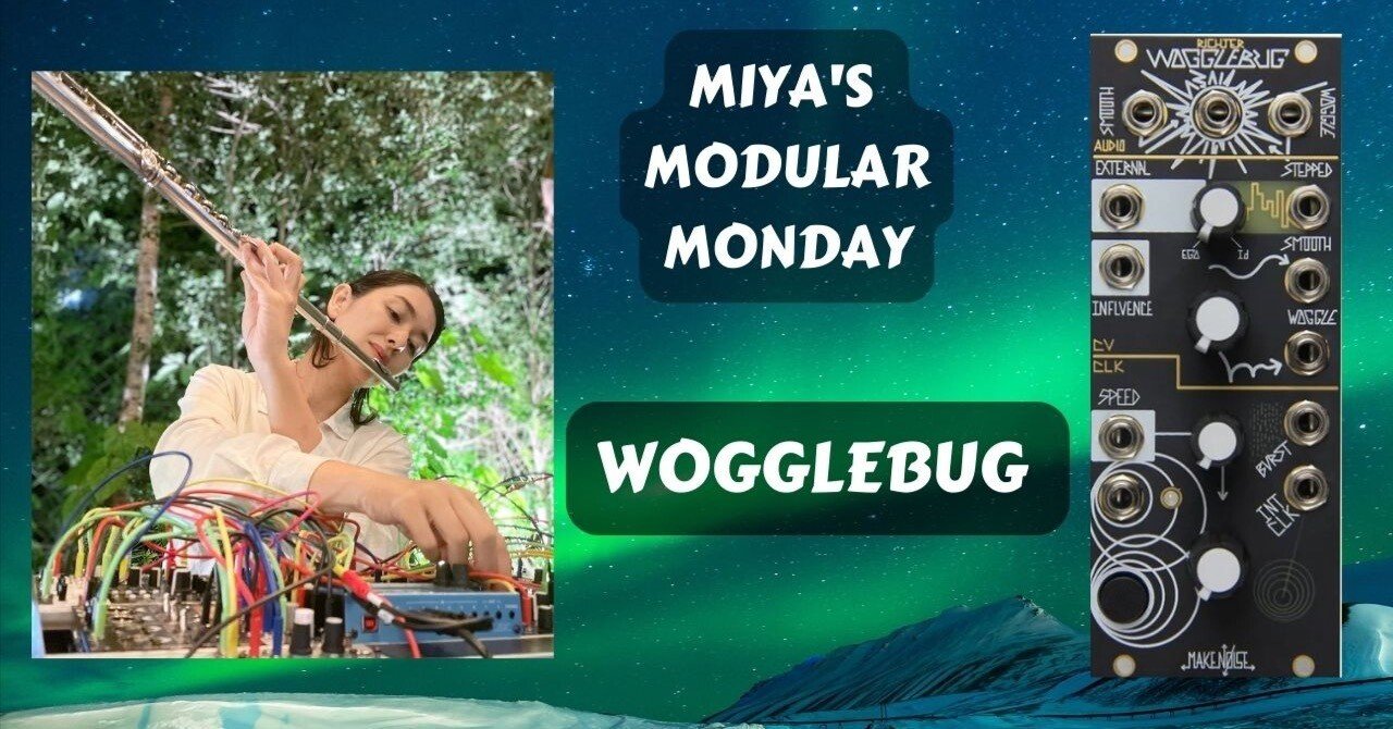 2月6日 生配信 Make Noise Wogglebug 【Flute with Modular】｜Miya