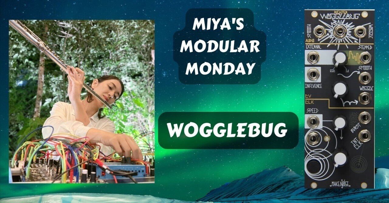 2月6日 生配信 Make Noise Wogglebug 【Flute with Modular】|Miya 2月6日 生配信 Make Noise Wogglebug 【Flute with Modular】|Miya
