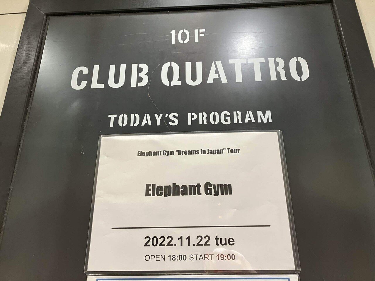 Elephant Gym