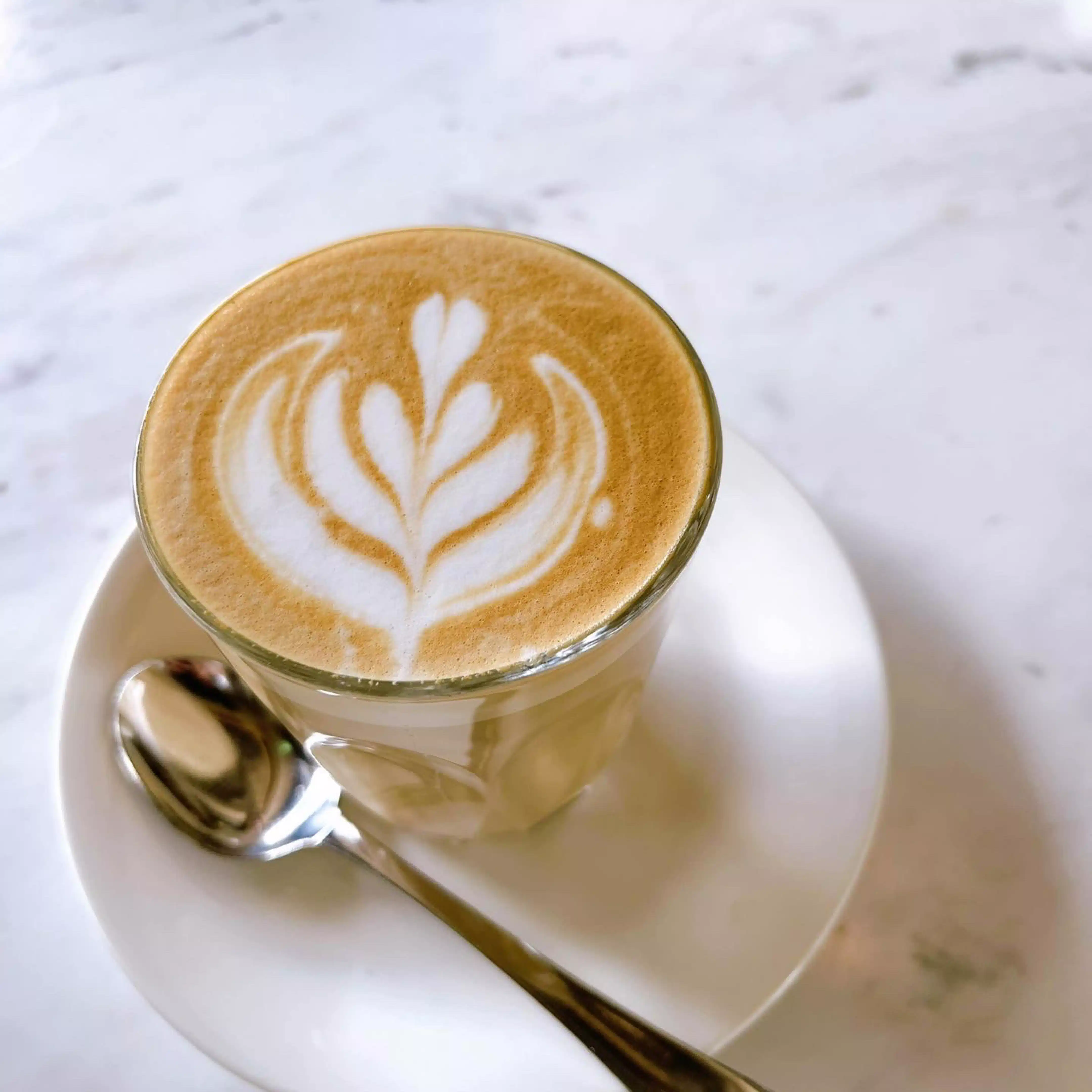 まめこ