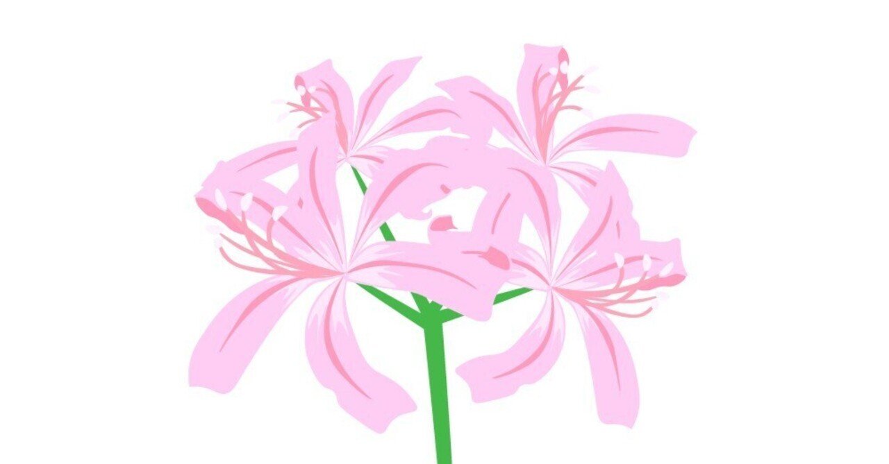 花言葉日誌 11月25日の誕生花は ネリネ 詩描綺 うたえき Note