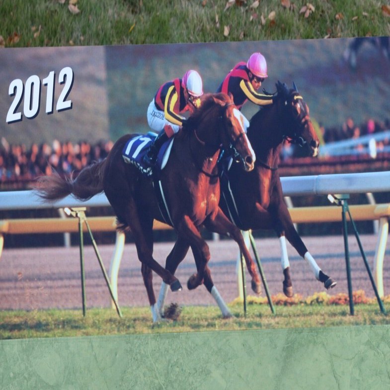 オルフェーヴルと初対面した2012年ジャパンカップから10年が経ち