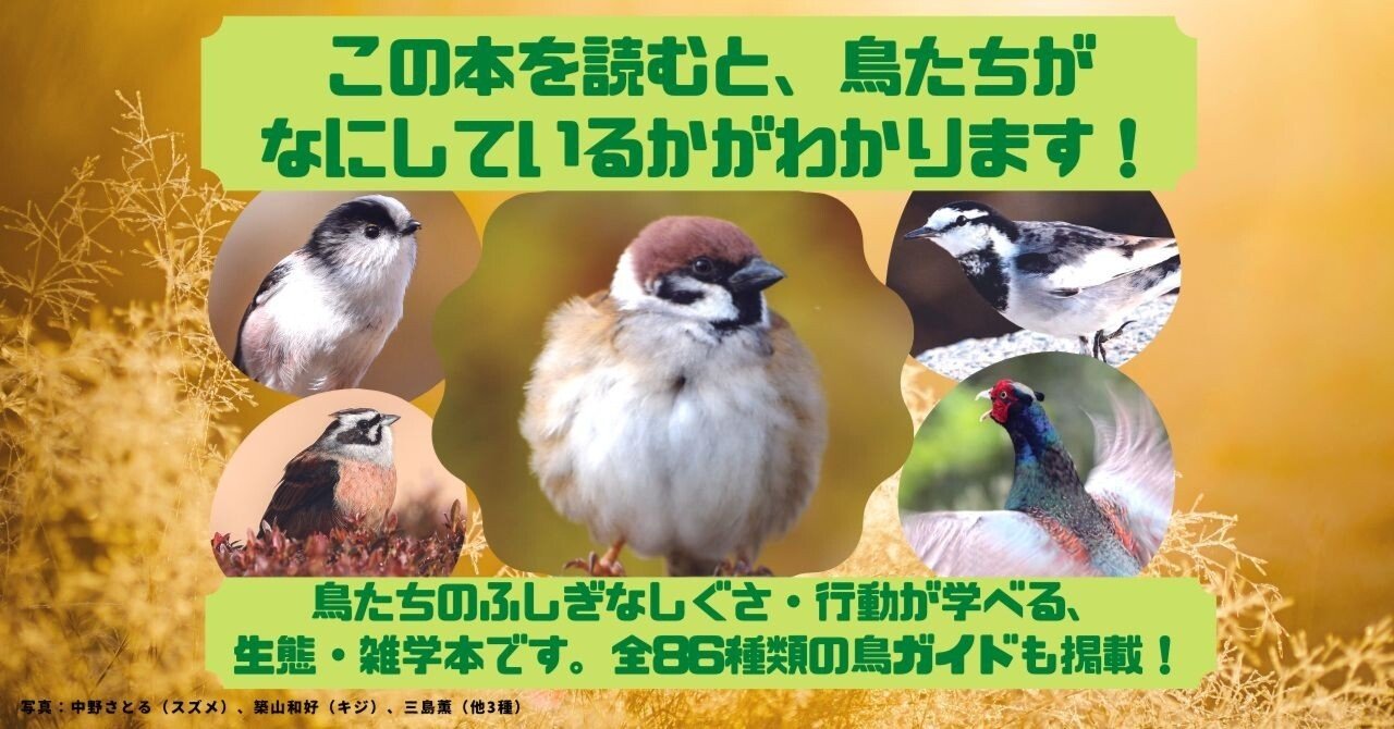 cec13ee124b0aeccf5bc01812406fd