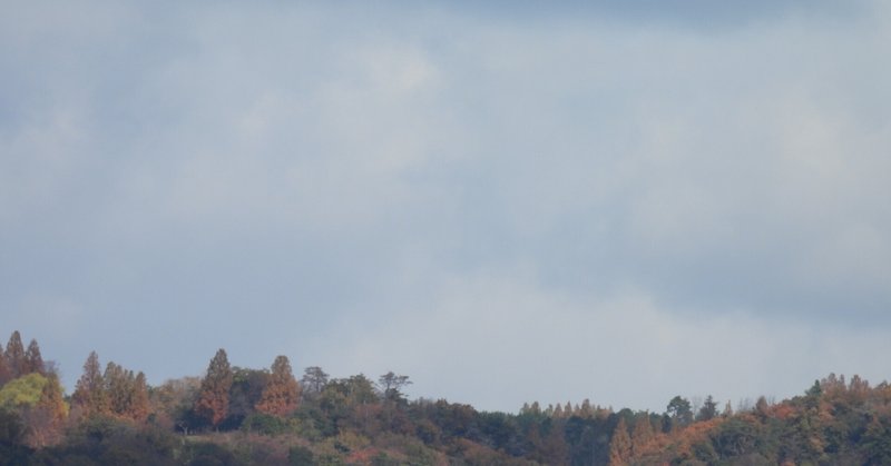 山里暮らしの本家