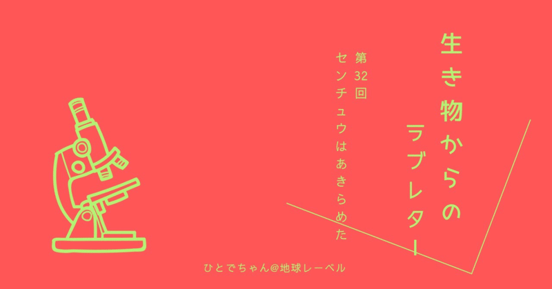 センチュウはあきらめた【生き物からのラブレター＃32】