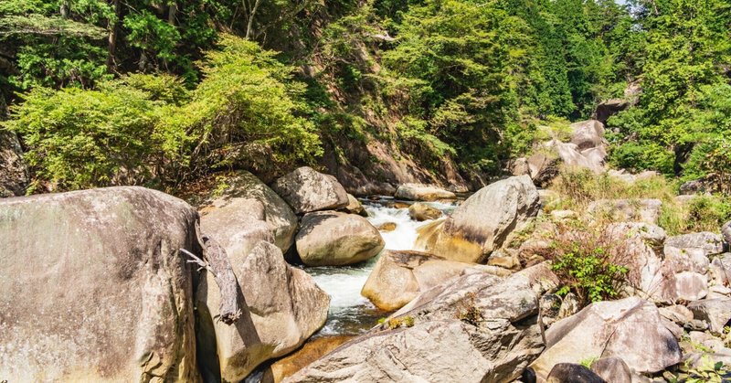 蓮實重彦 の新着タグ記事一覧 Note つくる つながる とどける