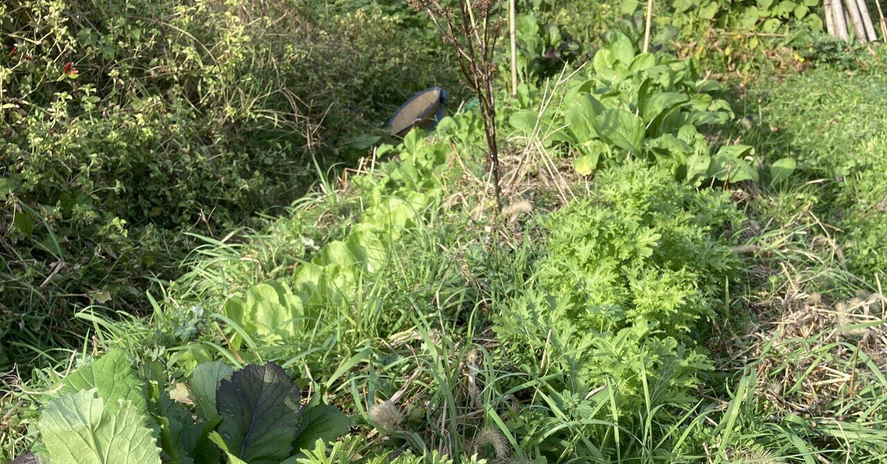  DirecTV、「市場と歩調を合わせる」ためにすべてのプランの料金を月額 5 ドル値上げ