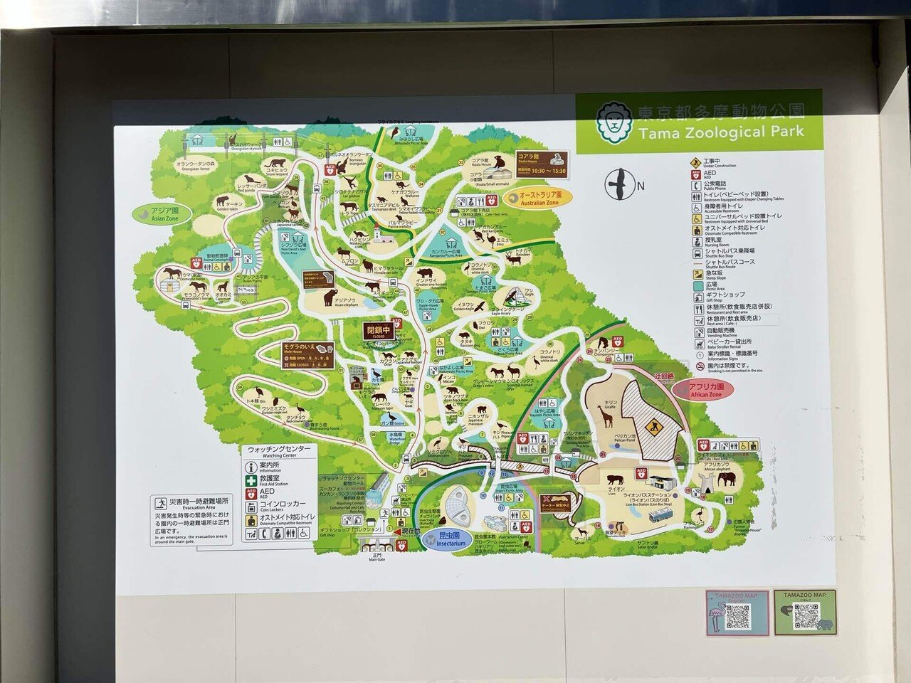 多摩動物公園 パンフレット 多摩動物公園