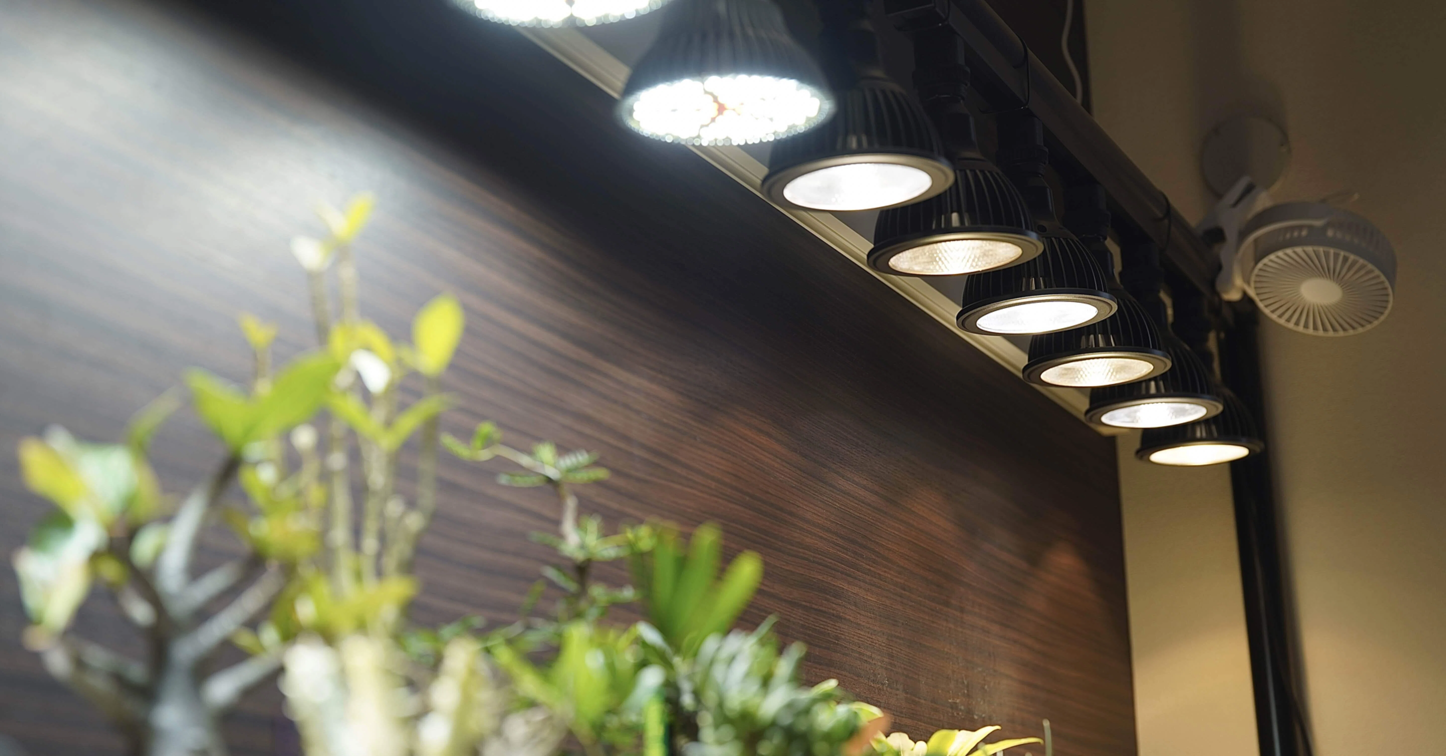 15W植物育成ライトGrowLight PAR20 6000K 10個 AliExpress 15W植物育成ライトGrowLight PAR20 6000K 10個 AliExpress
