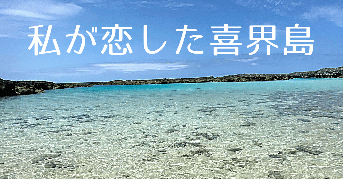 上品なファッション 私が恋した喜界島#0｜Furano その他