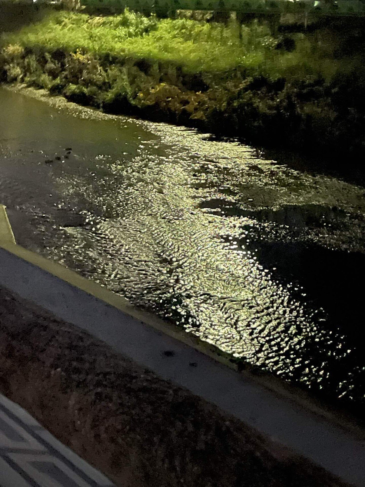 夜でも朝でもない世界。｜nyamatamago0