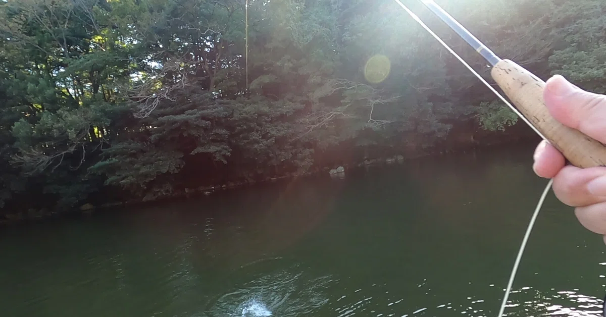 フライセット フライロッド 4番フライロッド トラウトロッド 管