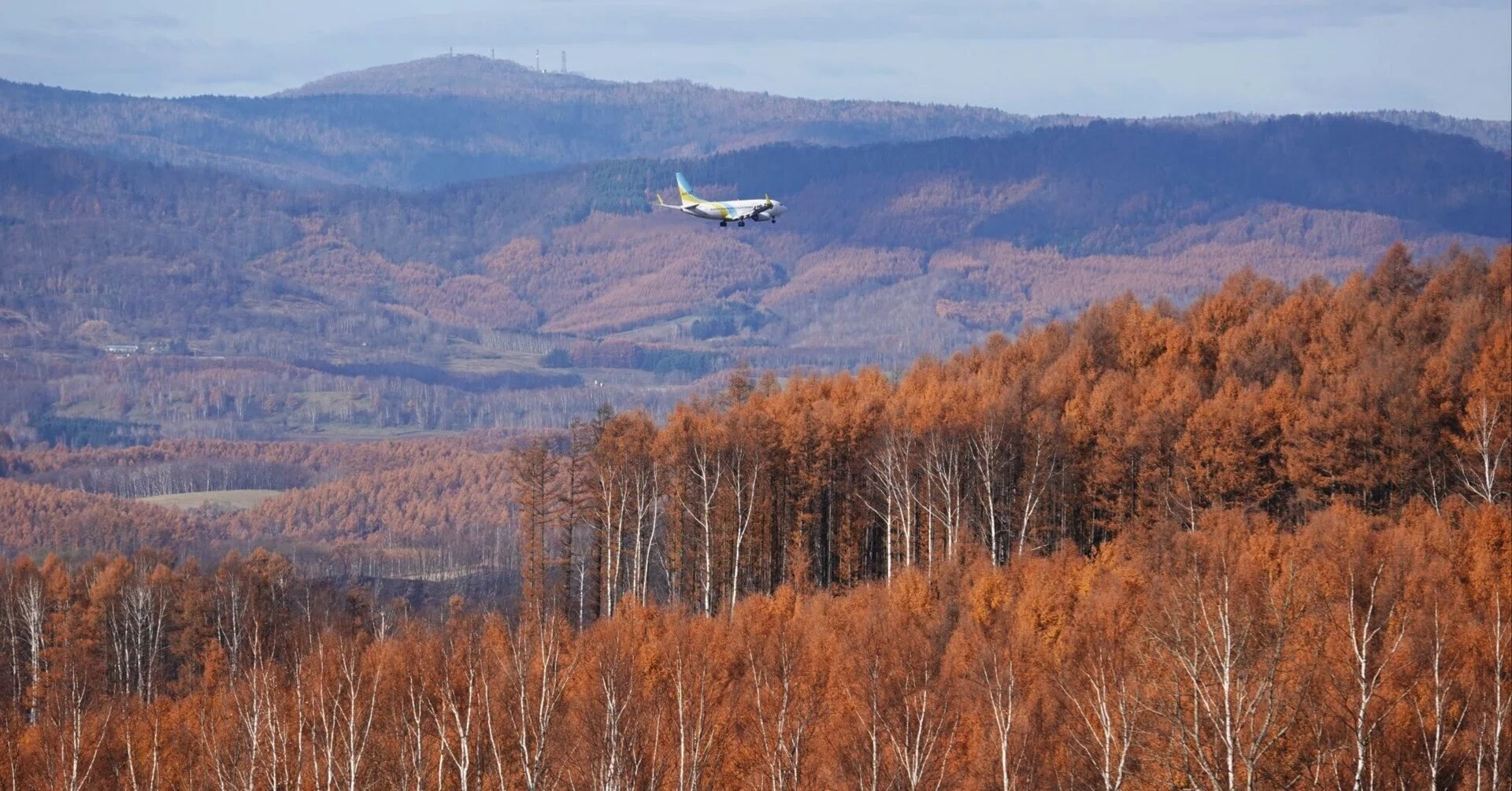 道標 山岳地のミニ飛行場、ALTIPORT｜やぶ悟空