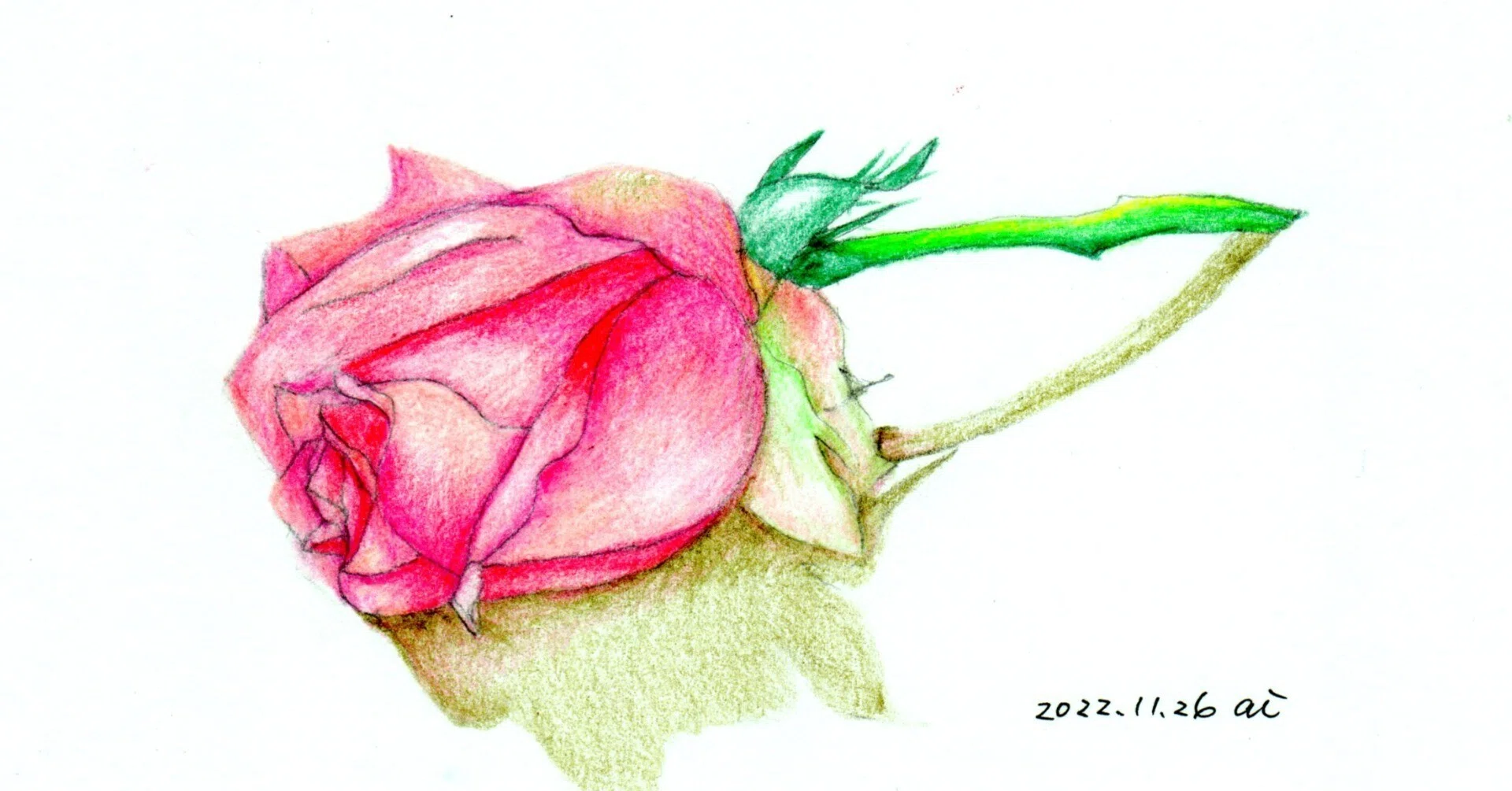 こんな風に描いてみたい「写真みたいな絵が描ける色鉛筆画」｜あいまる