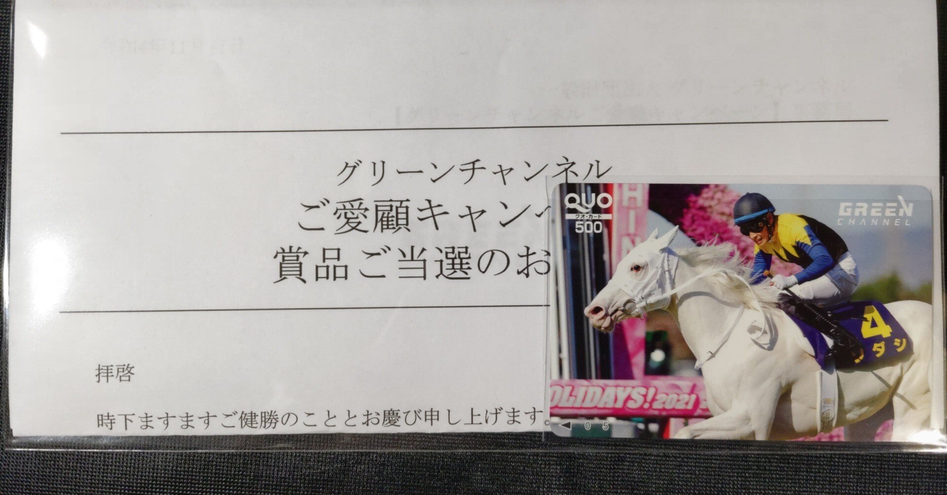 Amazon.co.jp: JRA グリーンチャンネル 25周年 おがわじゅり
