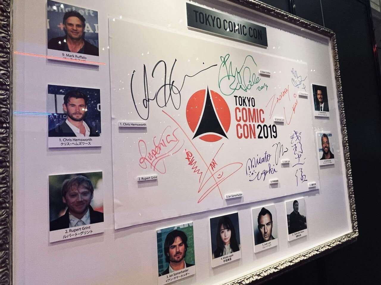 大好きなヘイデンに会えた話｜笹岡水樹