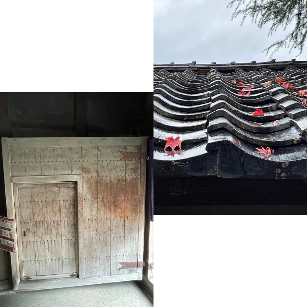 江戸時代の町家と現代アート｜maki.Kanazawa
