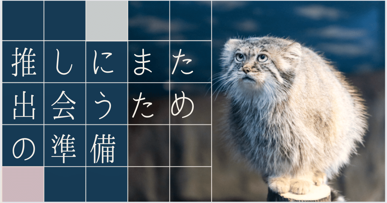 ネコ科(概念)の石達に出会う準備(New Jewelry TOKYO初めて行くよ