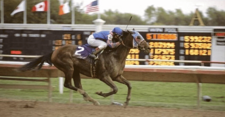 ブリーダーズカップ ブルゾン 競馬 社台ファーム ブリーダーズカップ