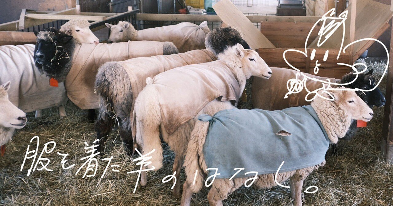 服を着た羊のはなし。｜藤本智士（Re:S）